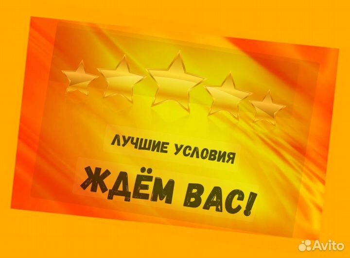 Комплектовщик Спецодежда Еженедельный аванс М/Ж