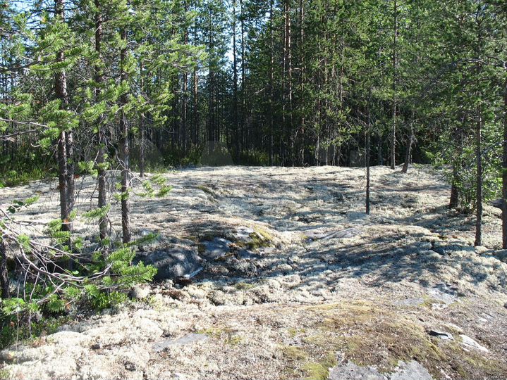 Участок 5 сот. (СНТ, ДНП)