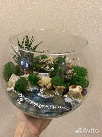 Композиции из комнатных растений