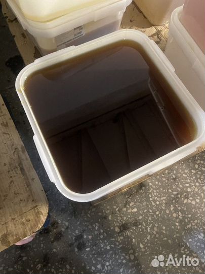 Натуральный мед дягилевый оптом