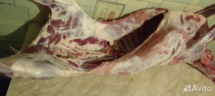 Мясо баранина