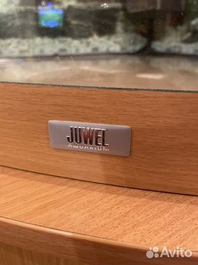 Juwel Trigon 190 аквариум с тумбой