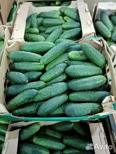 Продам овоши фрукты