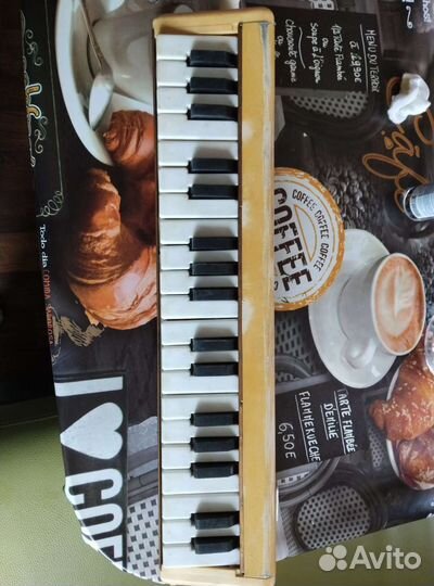 Пионика мелодия-3