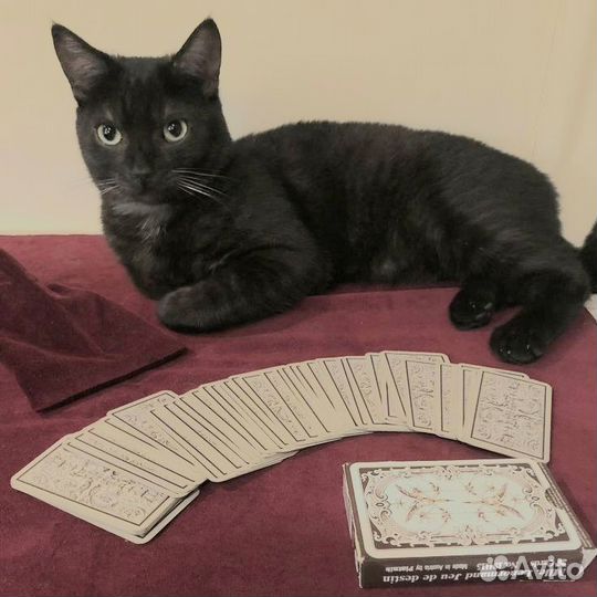 Расклад на картах таро