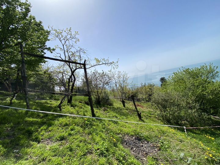 Участок 3,6 сот. (ИЖС)