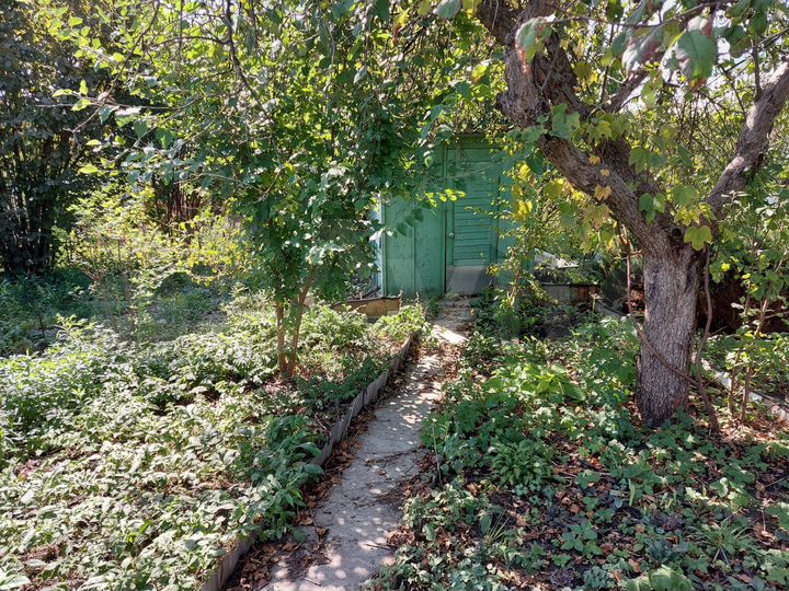 Участок 12 сот. (СНТ, ДНП)