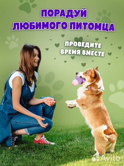 Игрушка для собак