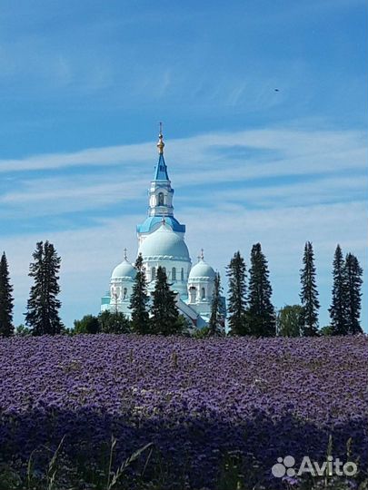 Ладожские красоты