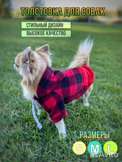 Кофта для собак