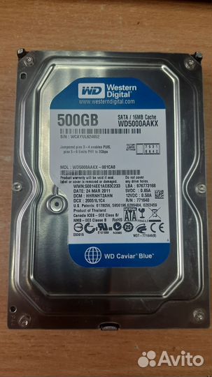 Жесткий диск 500 гб 3.5