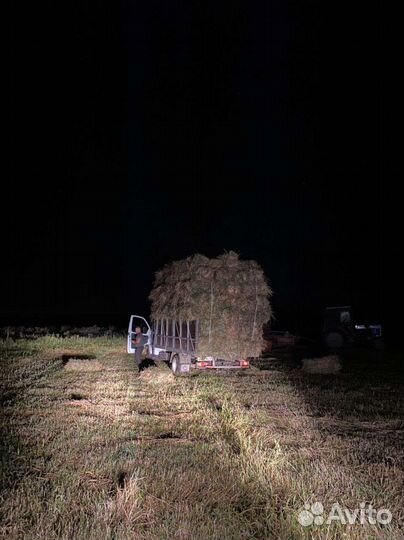 Сено в тюках