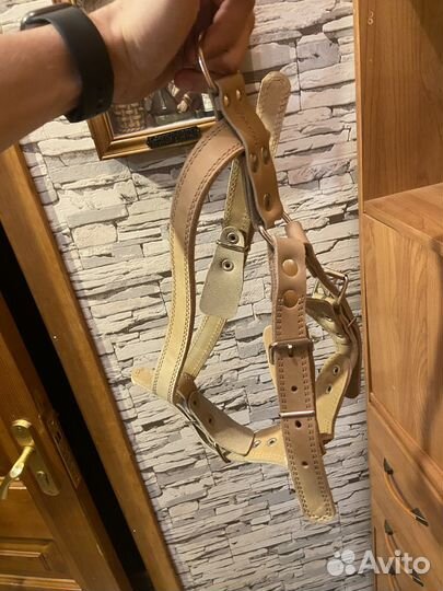 Шлейка для собаки