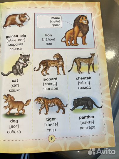 Англо-русский визуальный словарь для детей