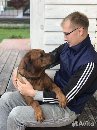 Помощники по хозяйству (пара) с проживанием