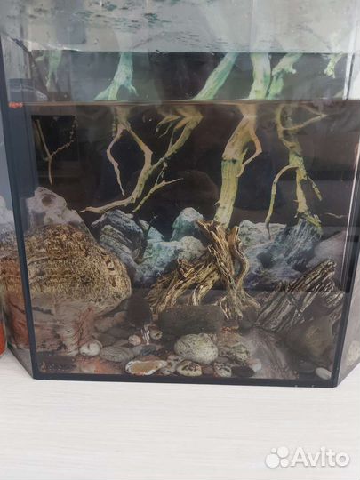 Аквариум с рыбками