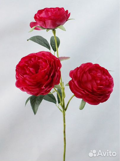 Искусственные розы пионовидные