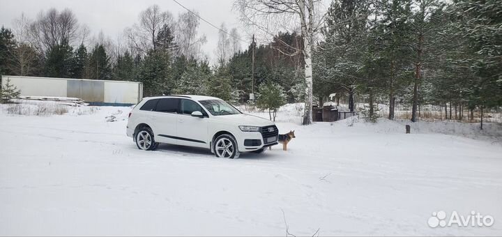 Audi Q7 3.0 AT, 2017, 146 000 км