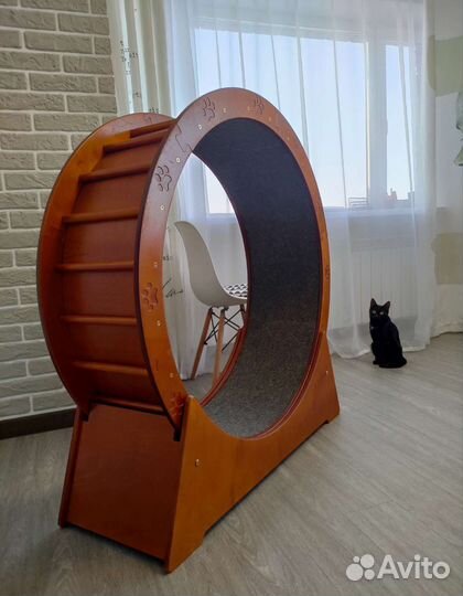 Беговое колесо для кошек