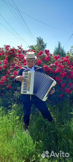 Аккордеонист Баянист Гармонист на праздники