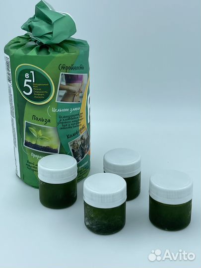 Зеленый фреш для здоровья, витграсс