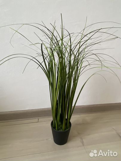 Новые искусственные растения в горшках