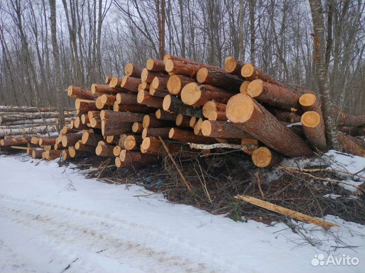 Продам лес кругляк