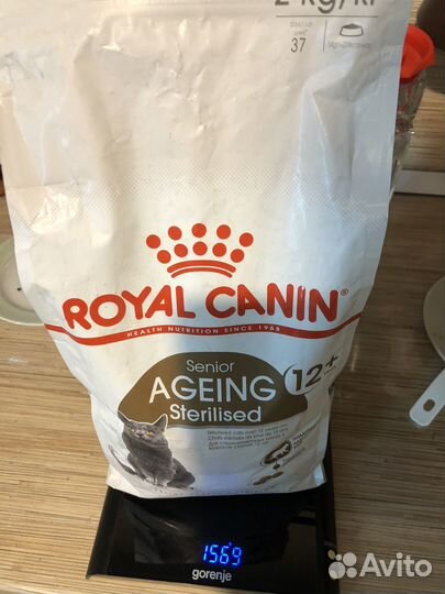 Корм для кошек