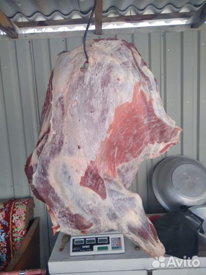 Мясо домашнее