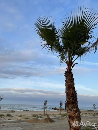 Квартиры посуточно