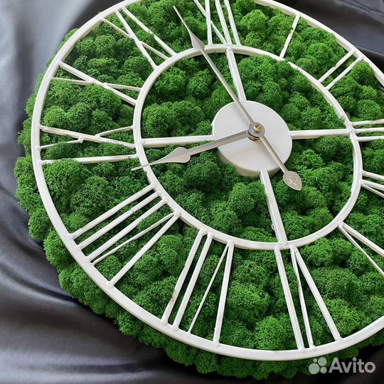 Часы Мох Стабилизированный 40см и др