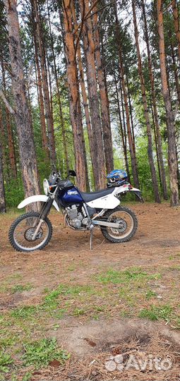 Продам suzuki djebel