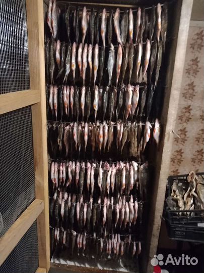 Вяленная рыба