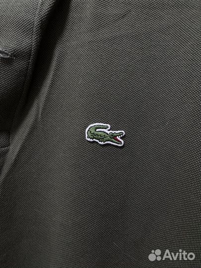 Поло lacoste мужское