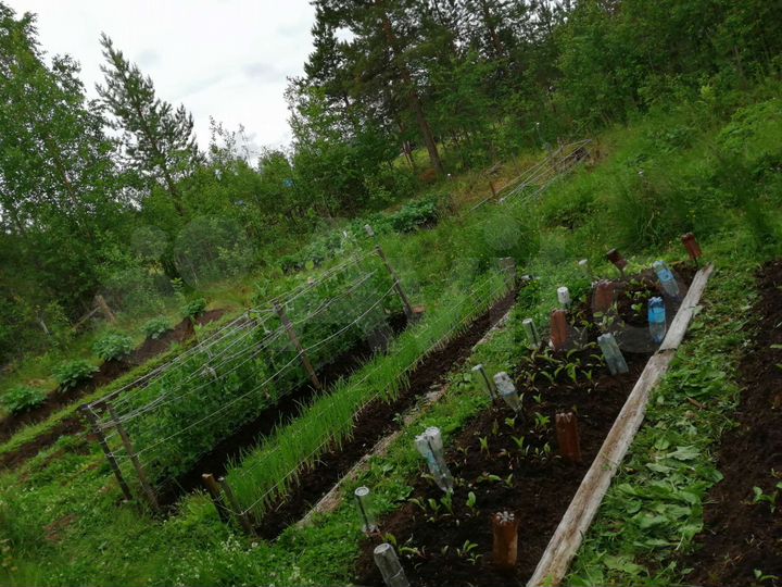 Участок 8 сот. (СНТ, ДНП)