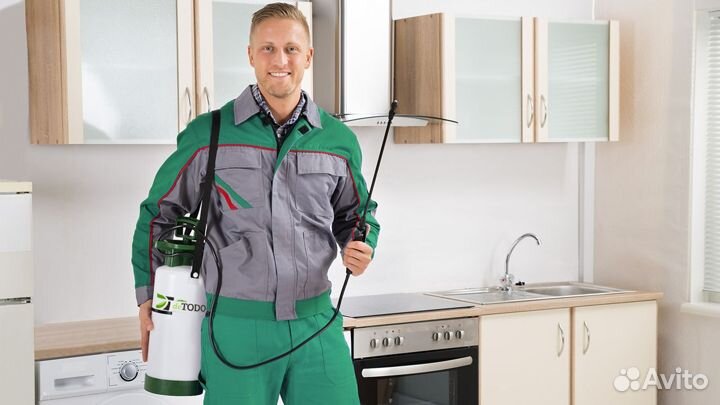 Уничтожение тараканов дезинсекция