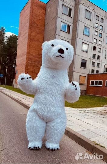 Анимационный костюм