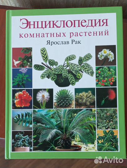 Энциклопедия комнатных растений
