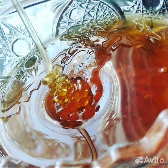 Мед молочаевий