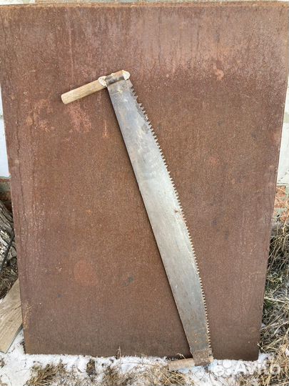 Пила дружба