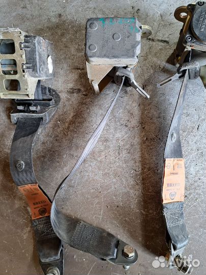 Ремень задний Lancia libra