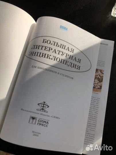 Большая литературная энциклопедия
