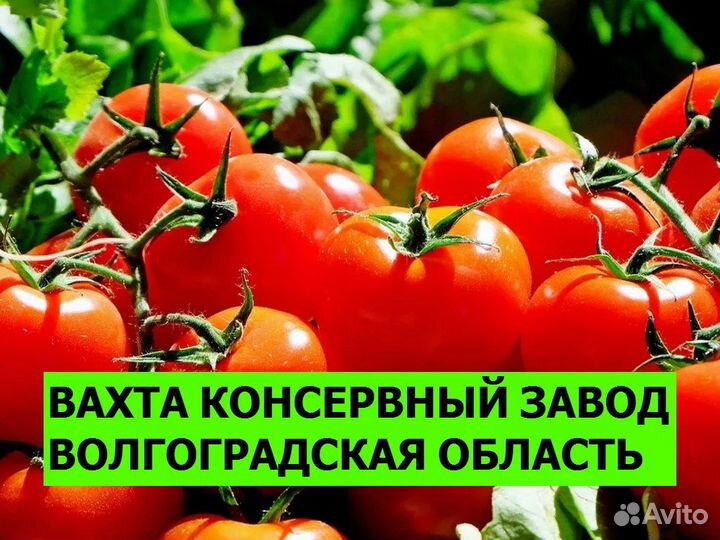 Разнорабочий вахта Волгоградская область 18+