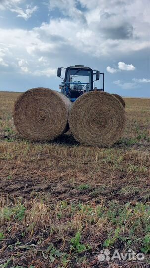 Продам сено в рулонах