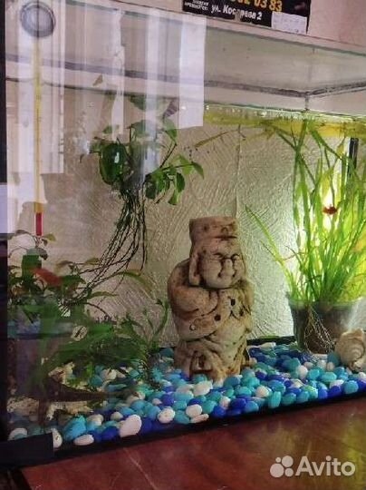 Аквариум