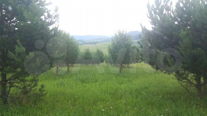 Участок 3,64 га (СНТ, ДНП)