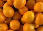 Апельсины свежие Navel (Египет)