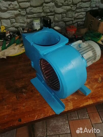 Улитки пылевые