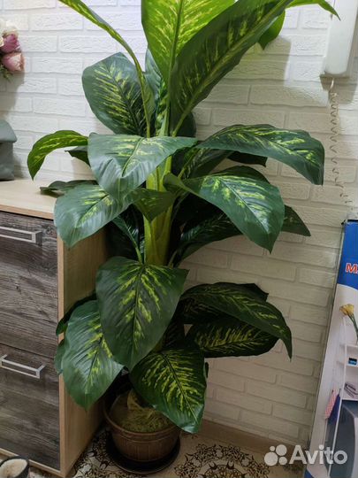 Искусственные цветы -Диффенбахия