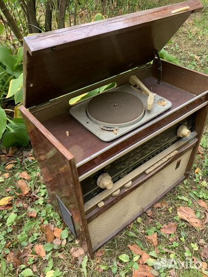 Радиола ригонда